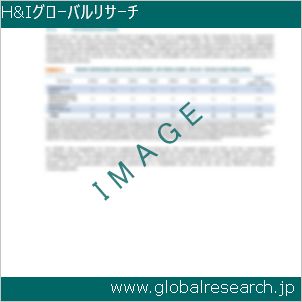 グローバルリサーチ調査レポートのイメージ